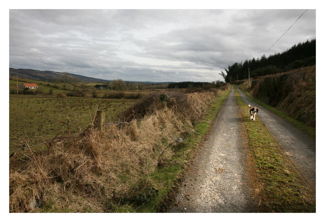 Ash Lodge Moytirra Exteriér fotografie